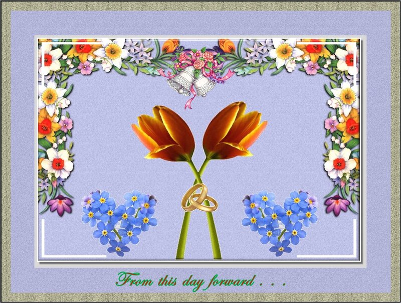Two Tulips with Rings
