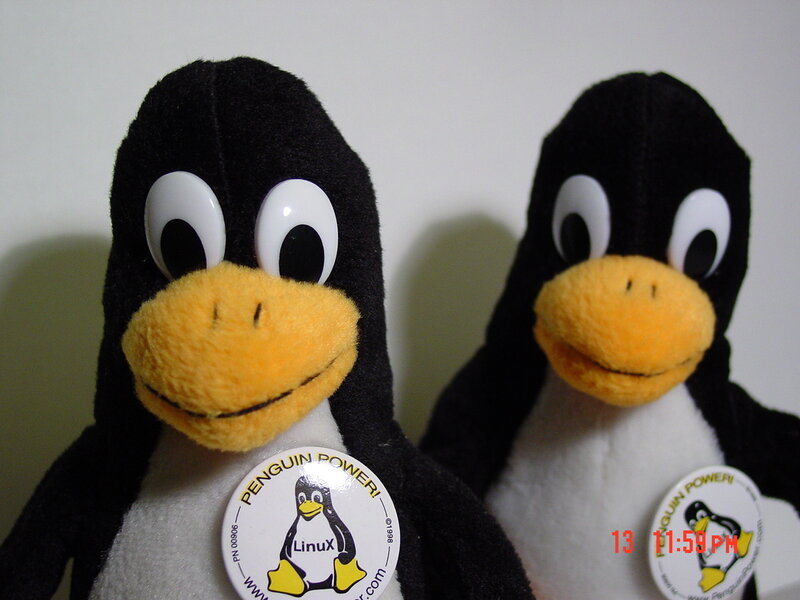 Two Tux penguin plush toys