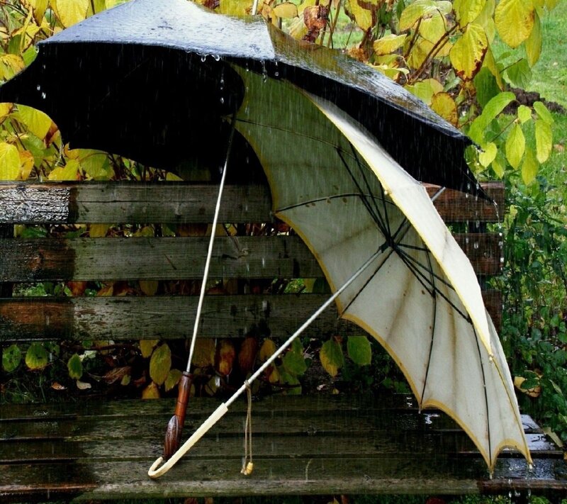 Two Umbrellas on Bench — Black