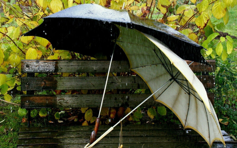 Two Umbrellas on Bench — Green, Dreary