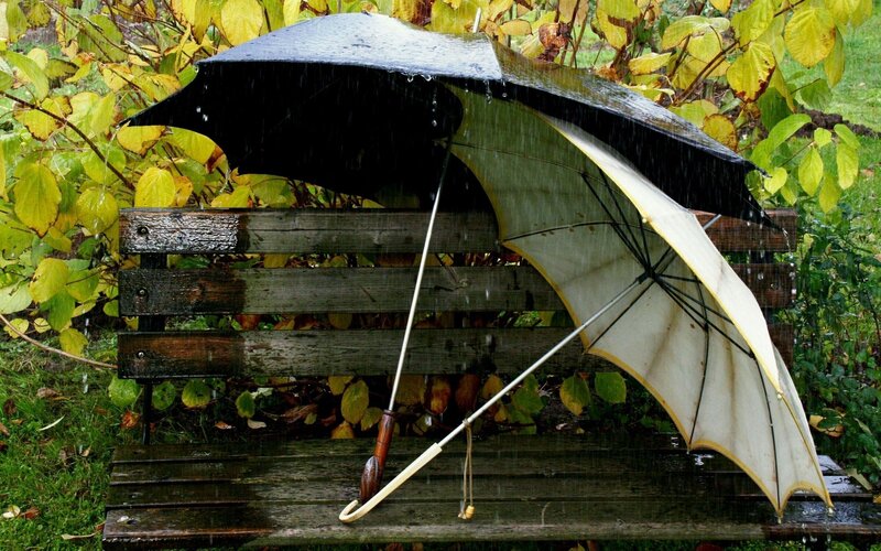 Two Umbrellas on Bench — Green