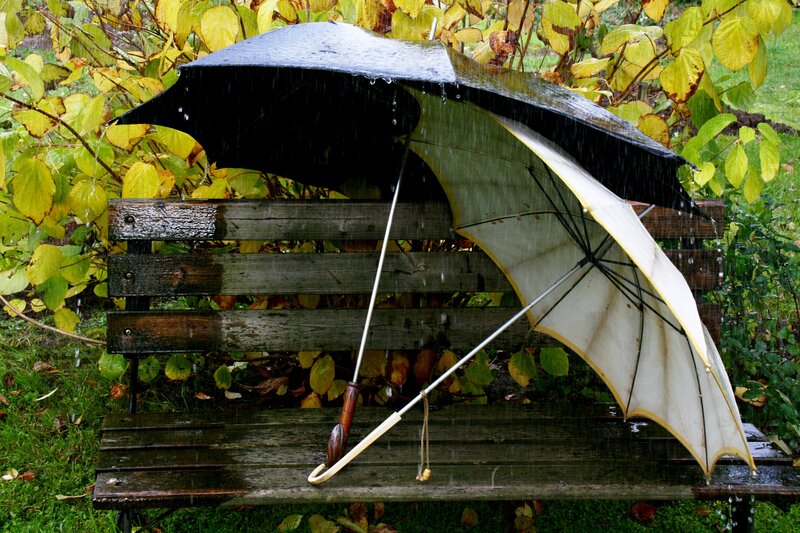 Two Umbrellas on Bench