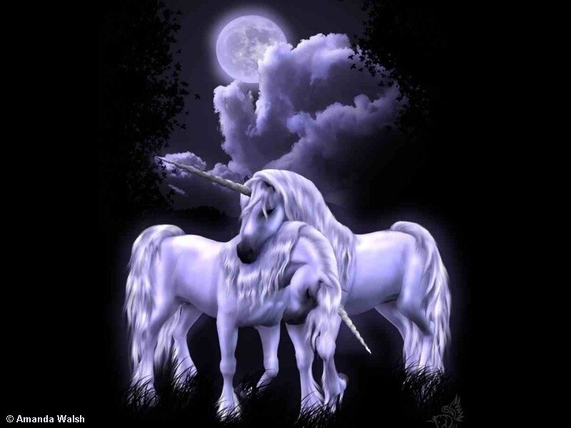 Two Unicorns at Night — Purple, Mystical