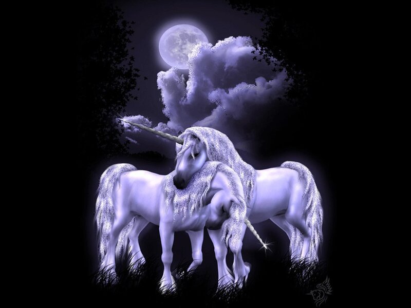 Two Unicorns at Night