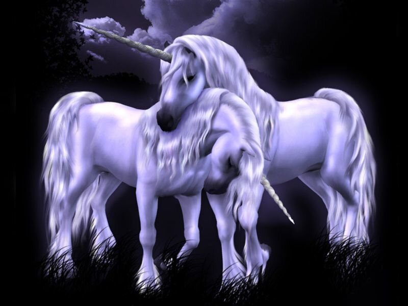 Two Unicorns Embracing