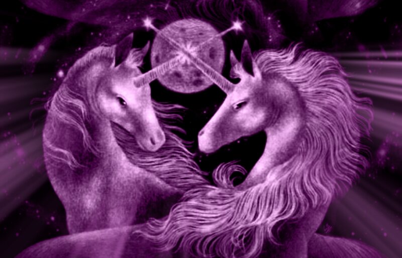 Two Unicorns Facing Each Other — Purple, Mystical