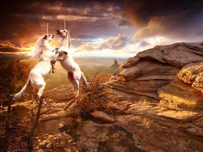 Two Unicorns Fighting — Orange