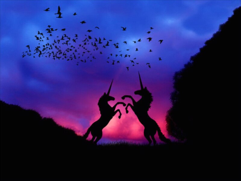 Two Unicorns Fighting — Purple, Dramatic