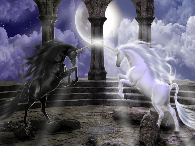 Two Unicorns Fighting — White, Dramatic