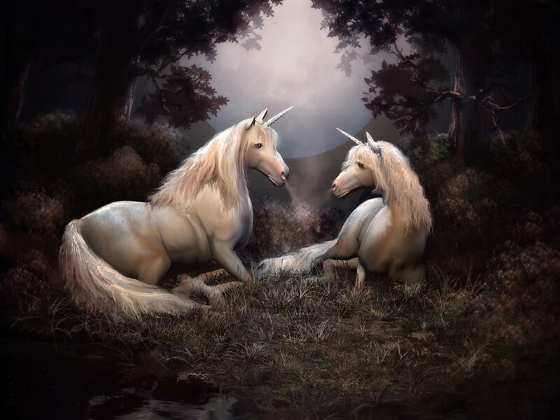 Two unicorns in a forest
