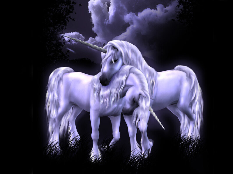 Two unicorns in a mystical night