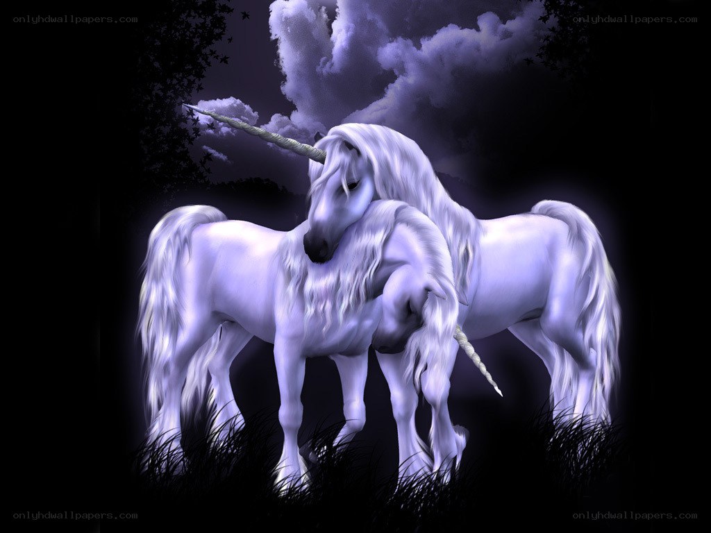 Two unicorns in a mystical night