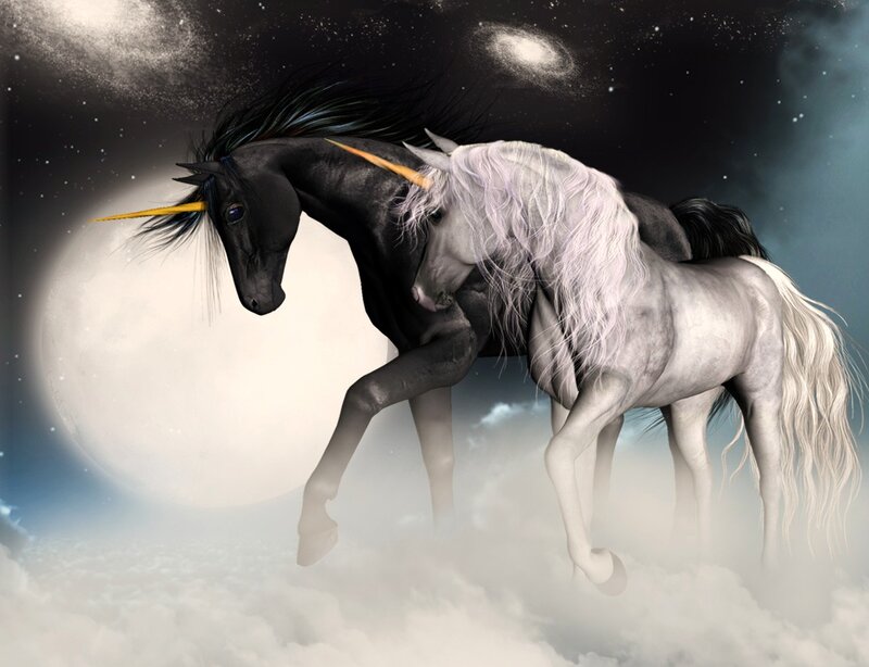 Two Unicorns in Clouds