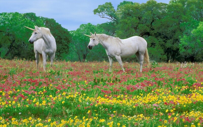 Two Unicorns in Field — Green