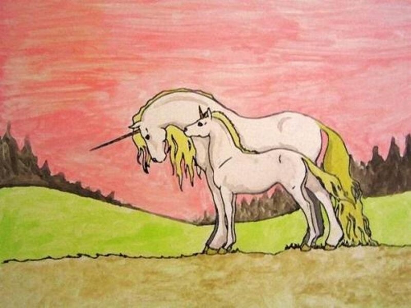 Two Unicorns in Field