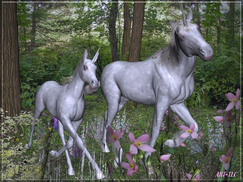 Two Unicorns in Forest — Gray