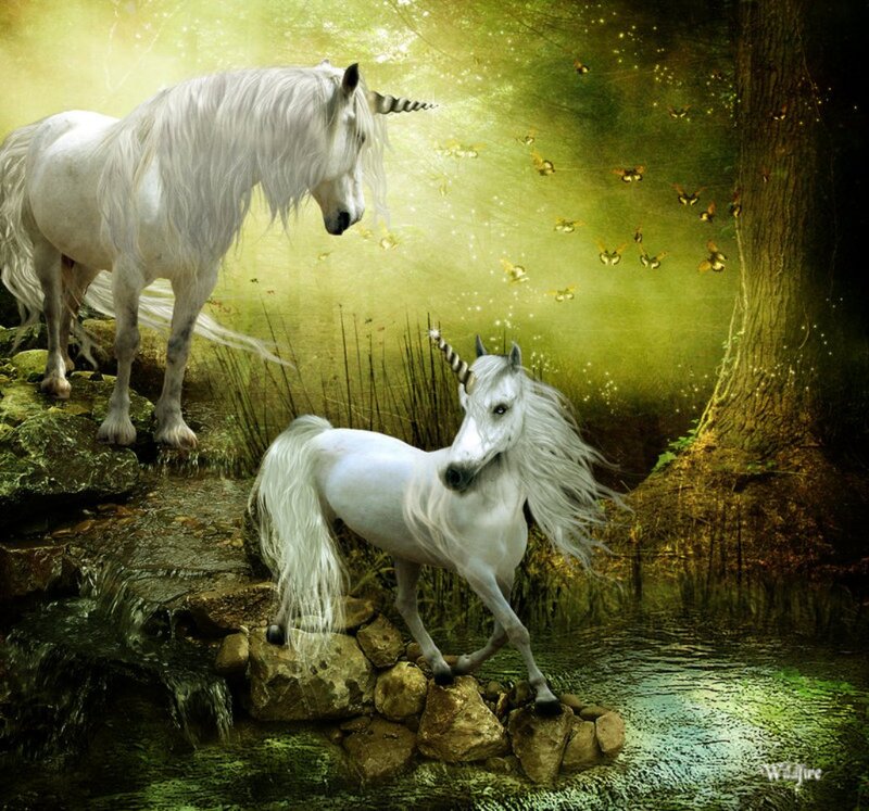 Two Unicorns in Forest — Green, Serene, Night