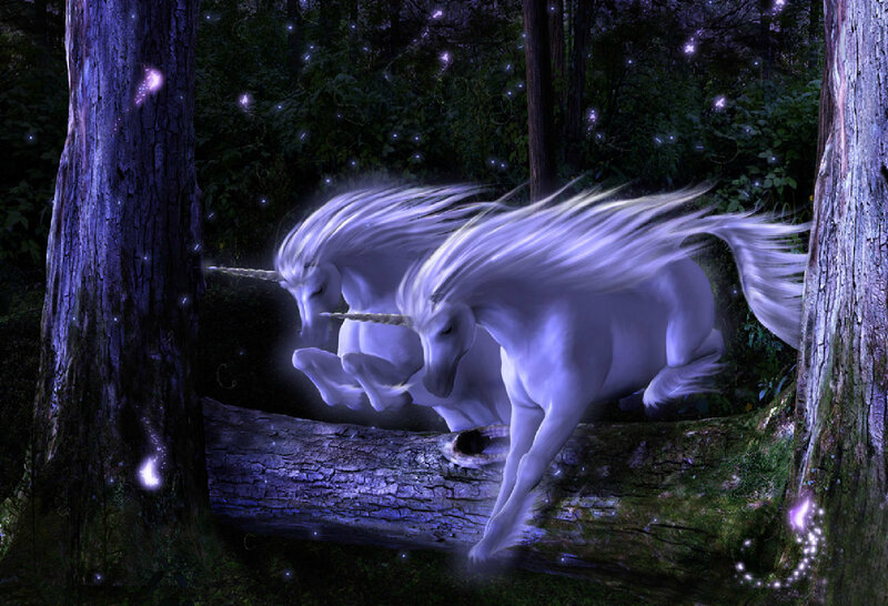 Two Unicorns in Forest — White, Magical