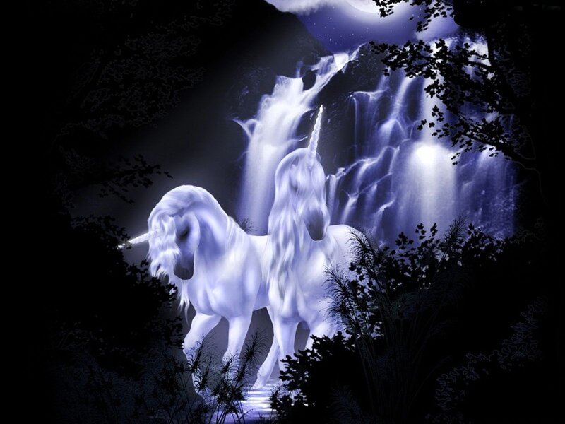 Two Unicorns in Forest — White, Mystical, Night, Digital Art