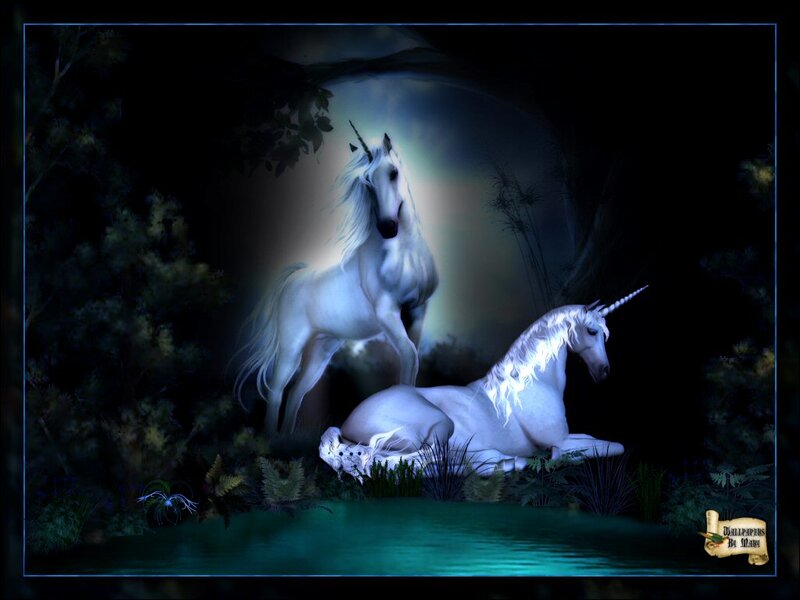 Two Unicorns in Forest — White, Mystical, Night