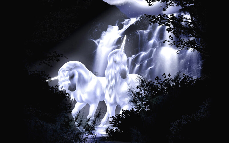 Two Unicorns in Forest — White, Mystical