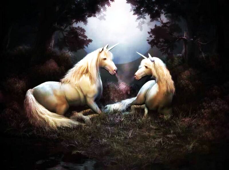 Two Unicorns in Forest — White, Serene, Night, Digital Art
