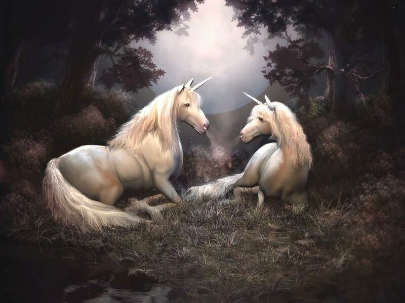 Two Unicorns in Forest — White, Serene, Night