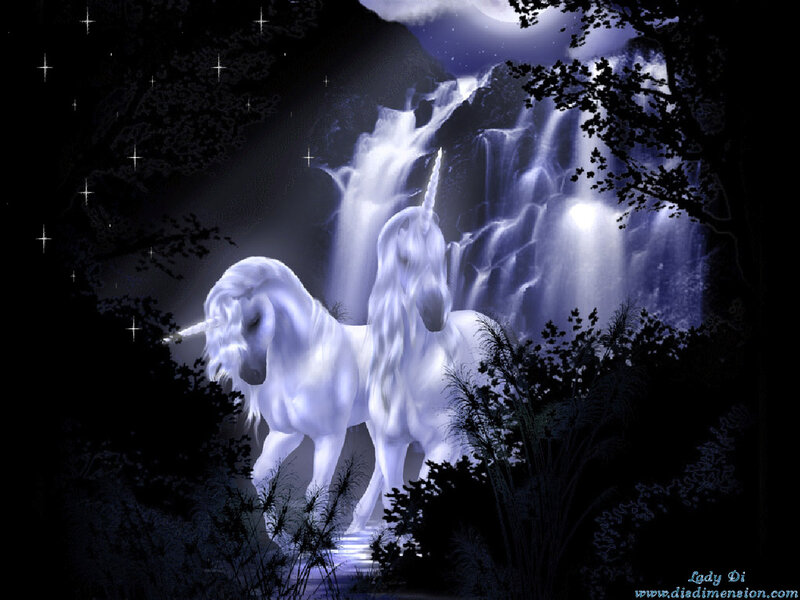 Two Unicorns in Forest — White