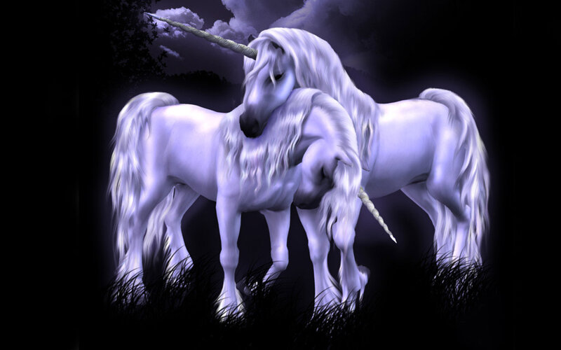 Two Unicorns in Grass