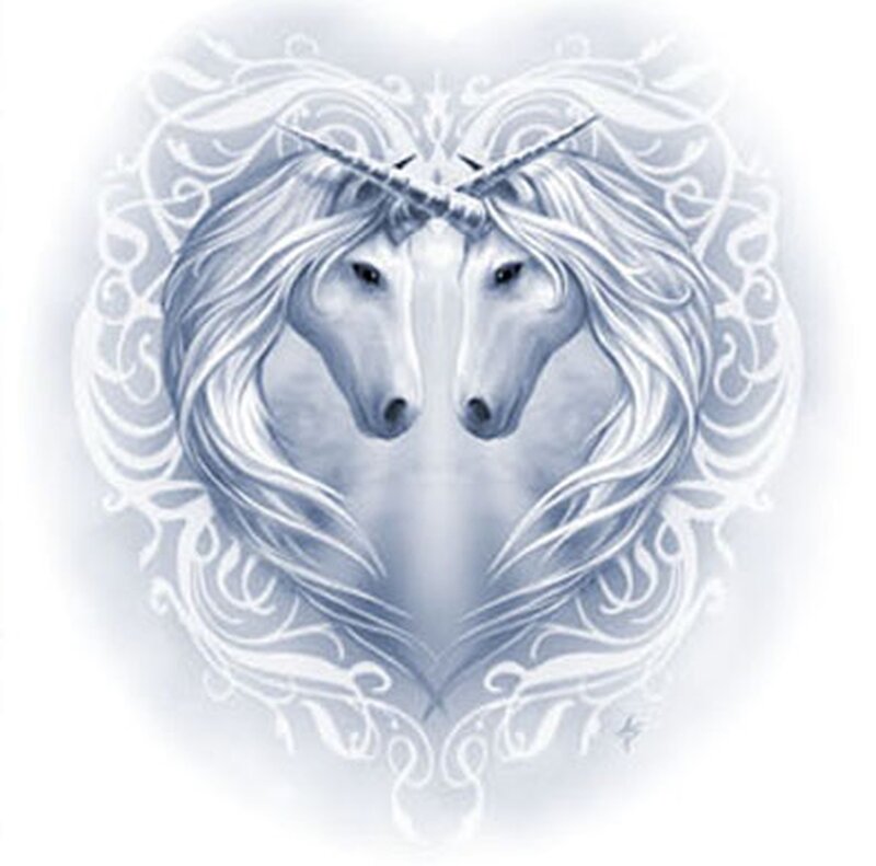 Two Unicorns in Heart