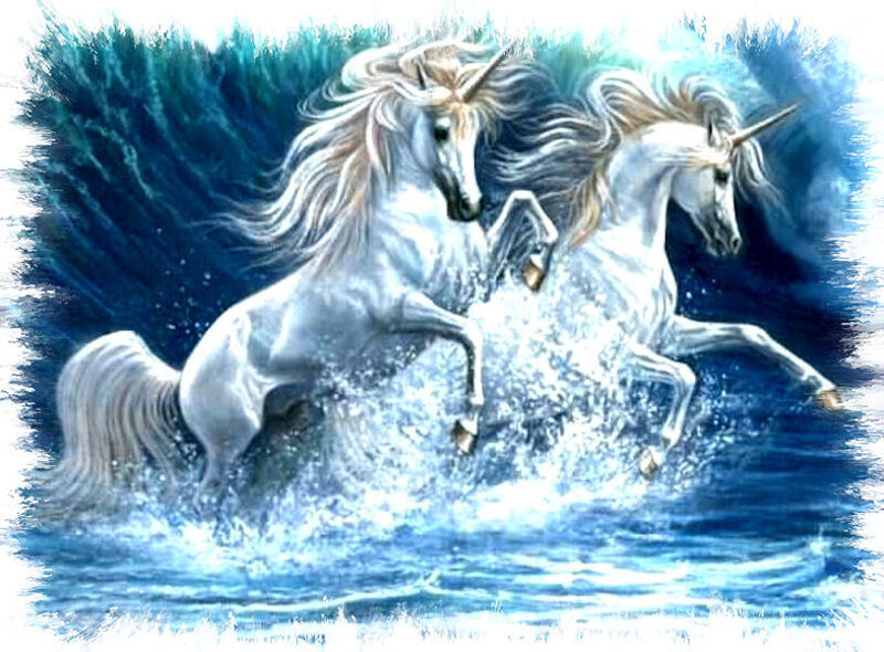Two unicorns in water