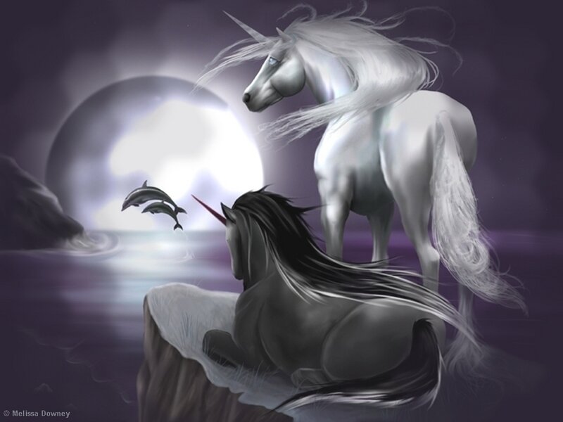 Two Unicorns on a Cliff