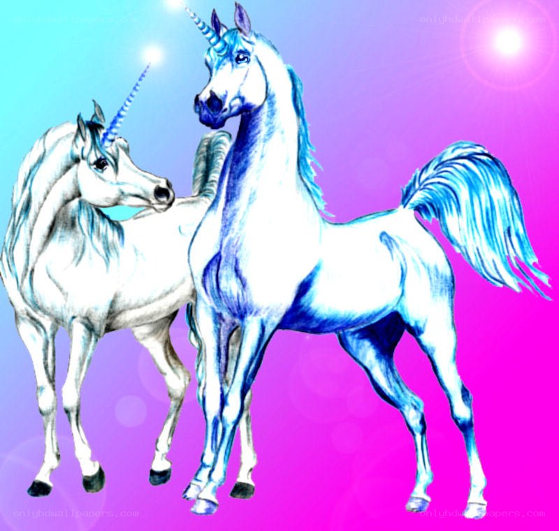 Two unicorns on a colorful background