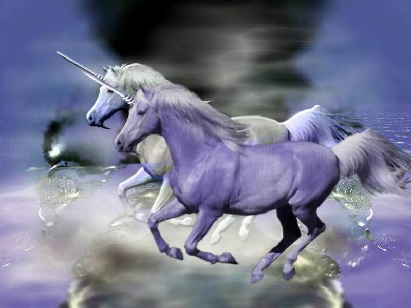 Two Unicorns Running — Purple