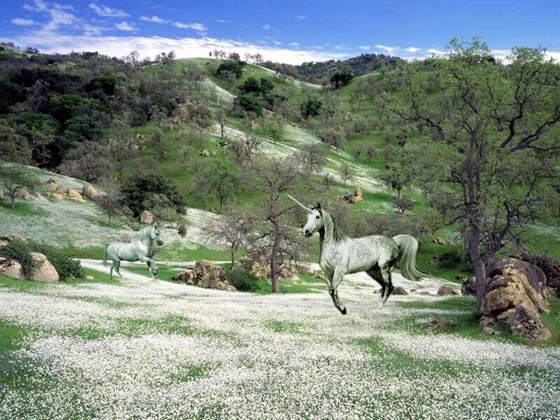 Two Unicorns Running