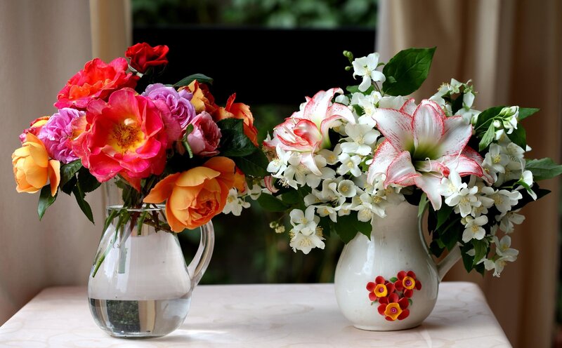 Two Vases of Flowers