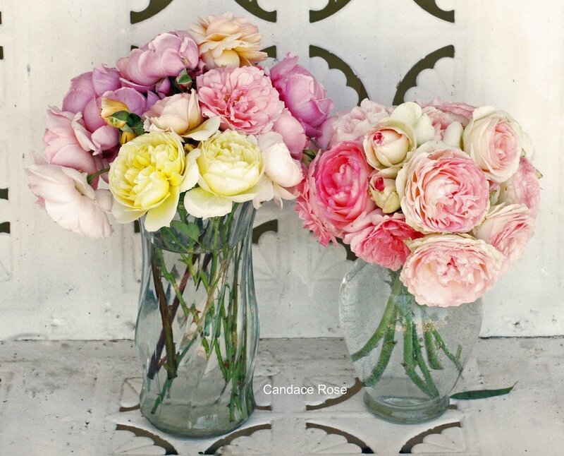 Two Vases of Roses