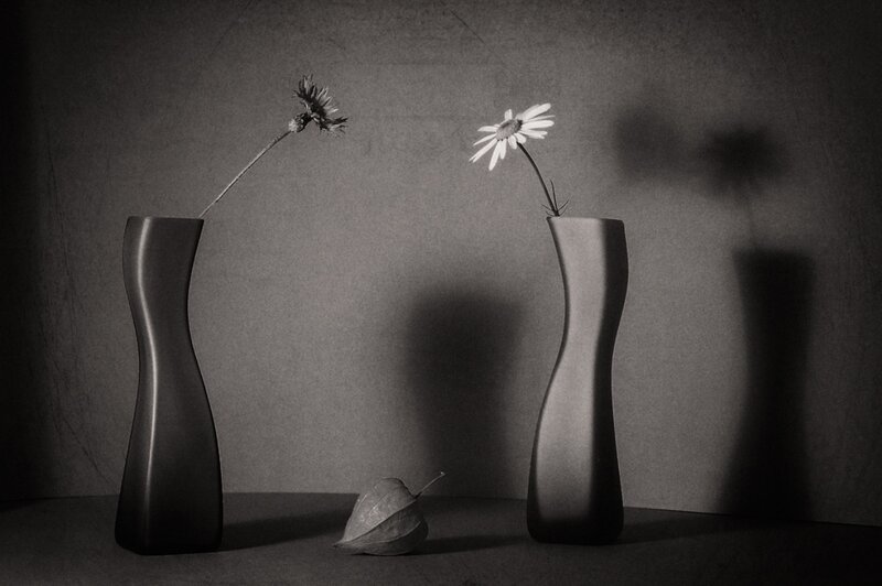Two Vases with Flowers — Black