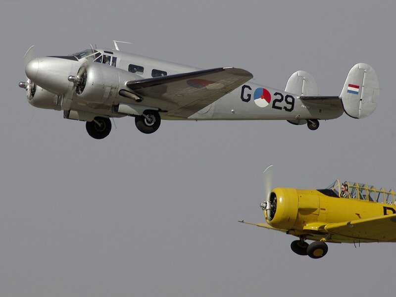 Two Vintage Airplanes — Gray, Neutral