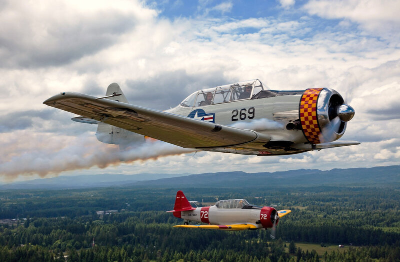 Two Vintage Airplanes — Green, Dramatic
