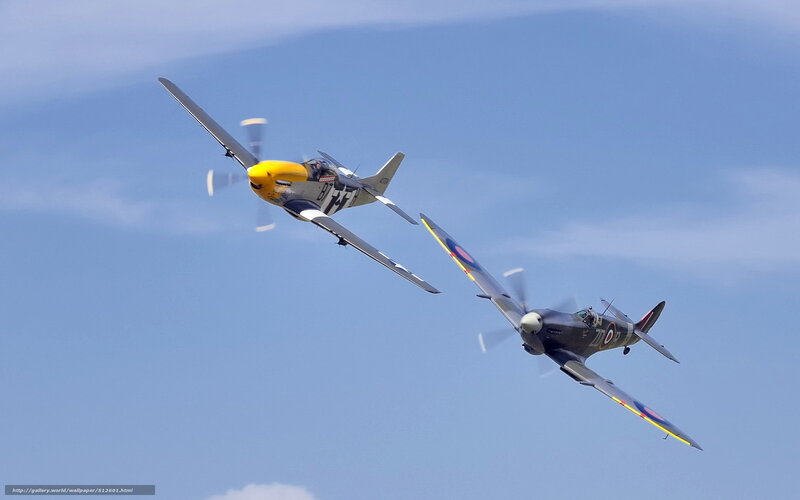 Two Vintage Fighter Planes — Blue, Dynamic, Afternoon, Photograph, Aircraft, Sky, Propellers