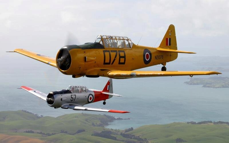 Two Vintage Military Planes — Yellow