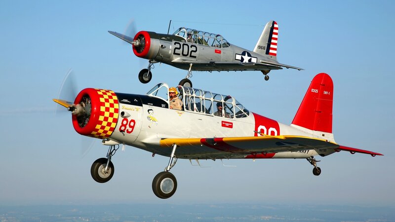 Two Vintage Training Planes