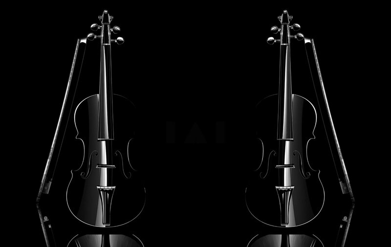 Two Violins on Black