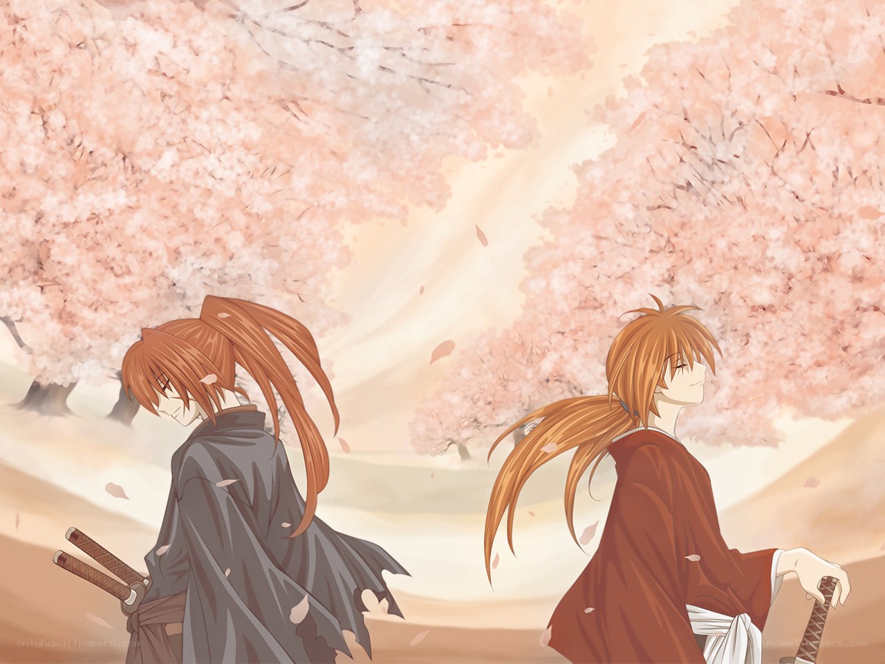 Two warriors in cherry blossom