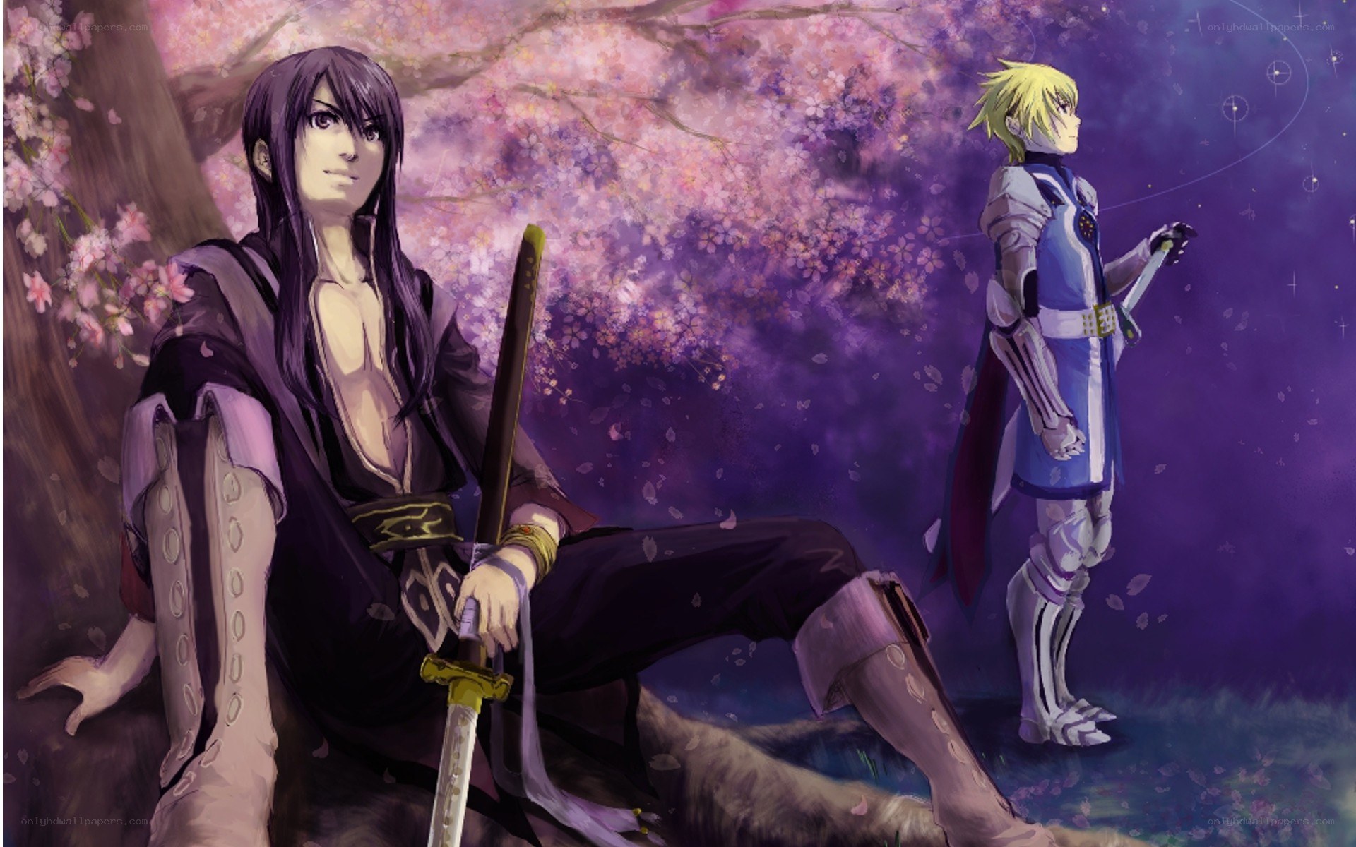 Two warriors under cherry blossoms