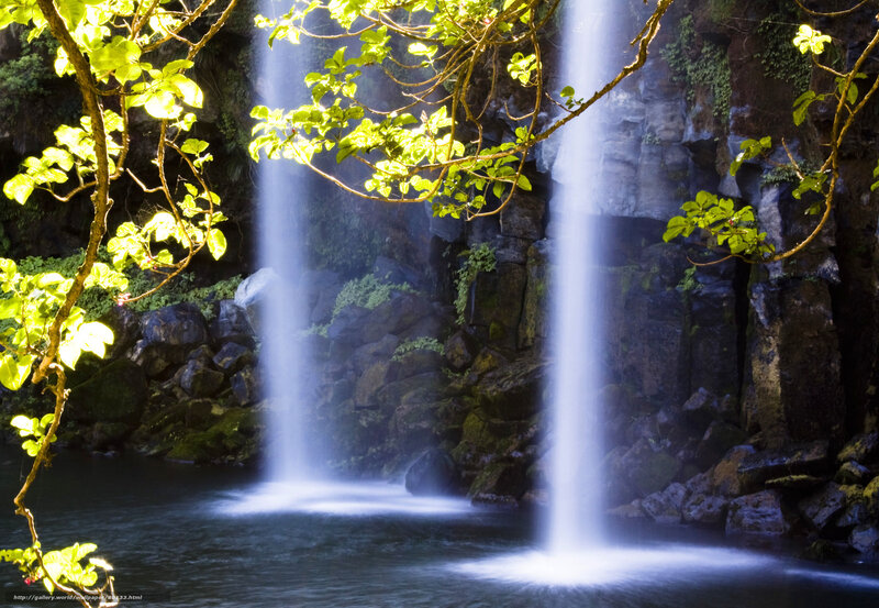 Two waterfalls in a forest