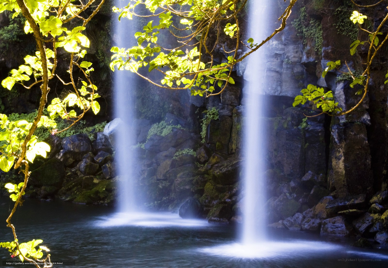 Two waterfalls in a forest