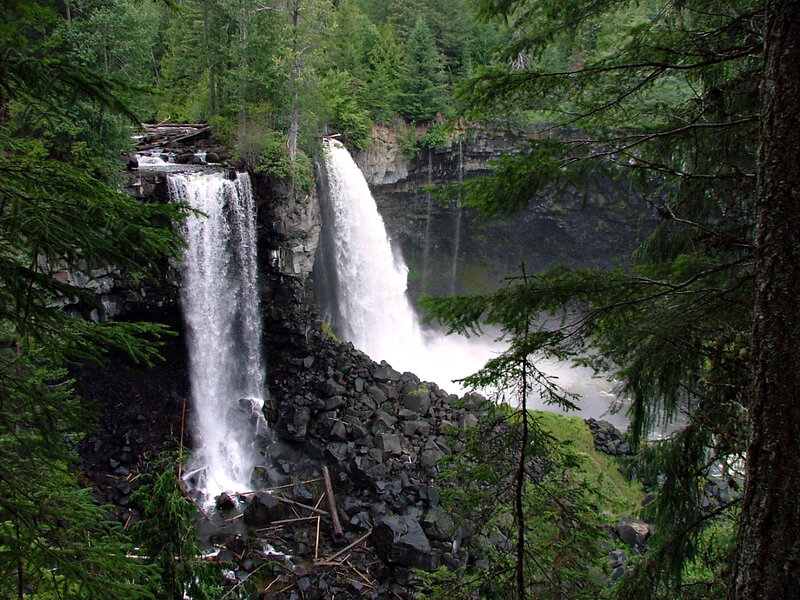 Two Waterfalls in Forest — Green, Natural, Afternoon