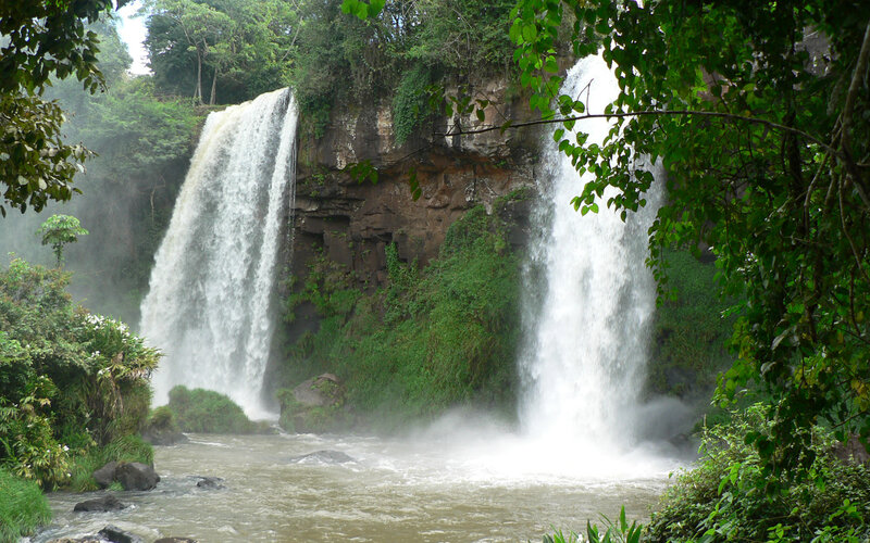 Two Waterfalls in Forest — Green, Natural